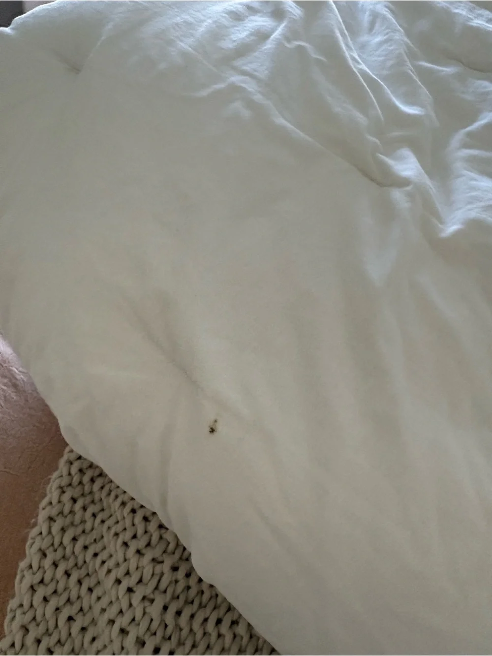 Pottery barn Silas comforter king white